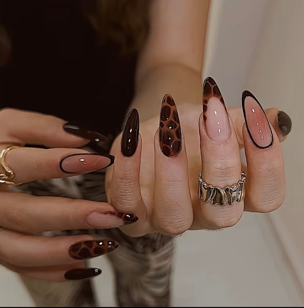 Cocoa Tortoise