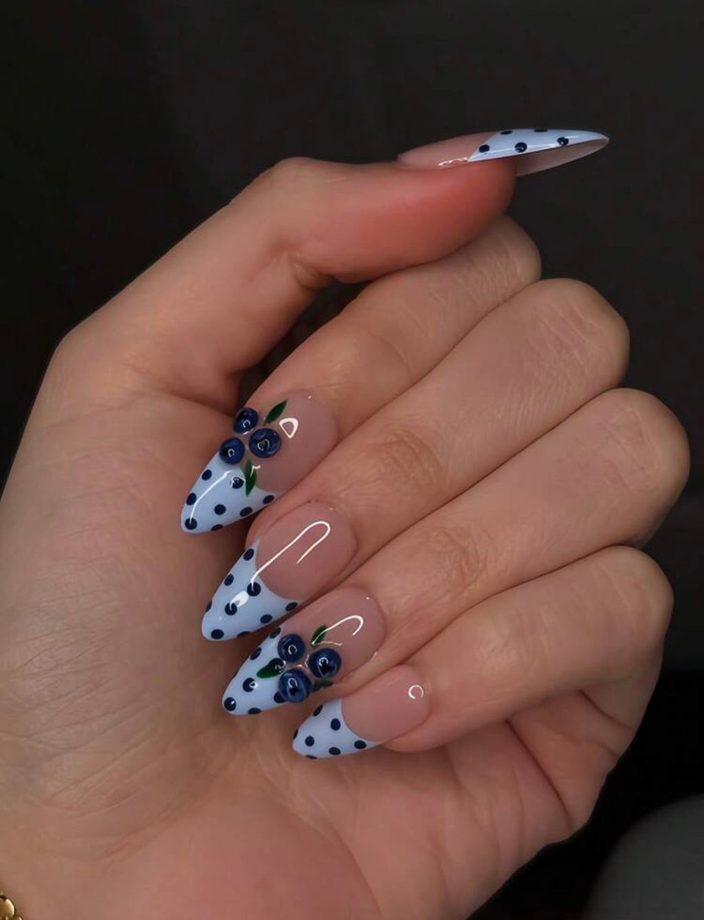 Blueberry Lau Polka