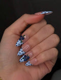 Blueberry Lau Polka