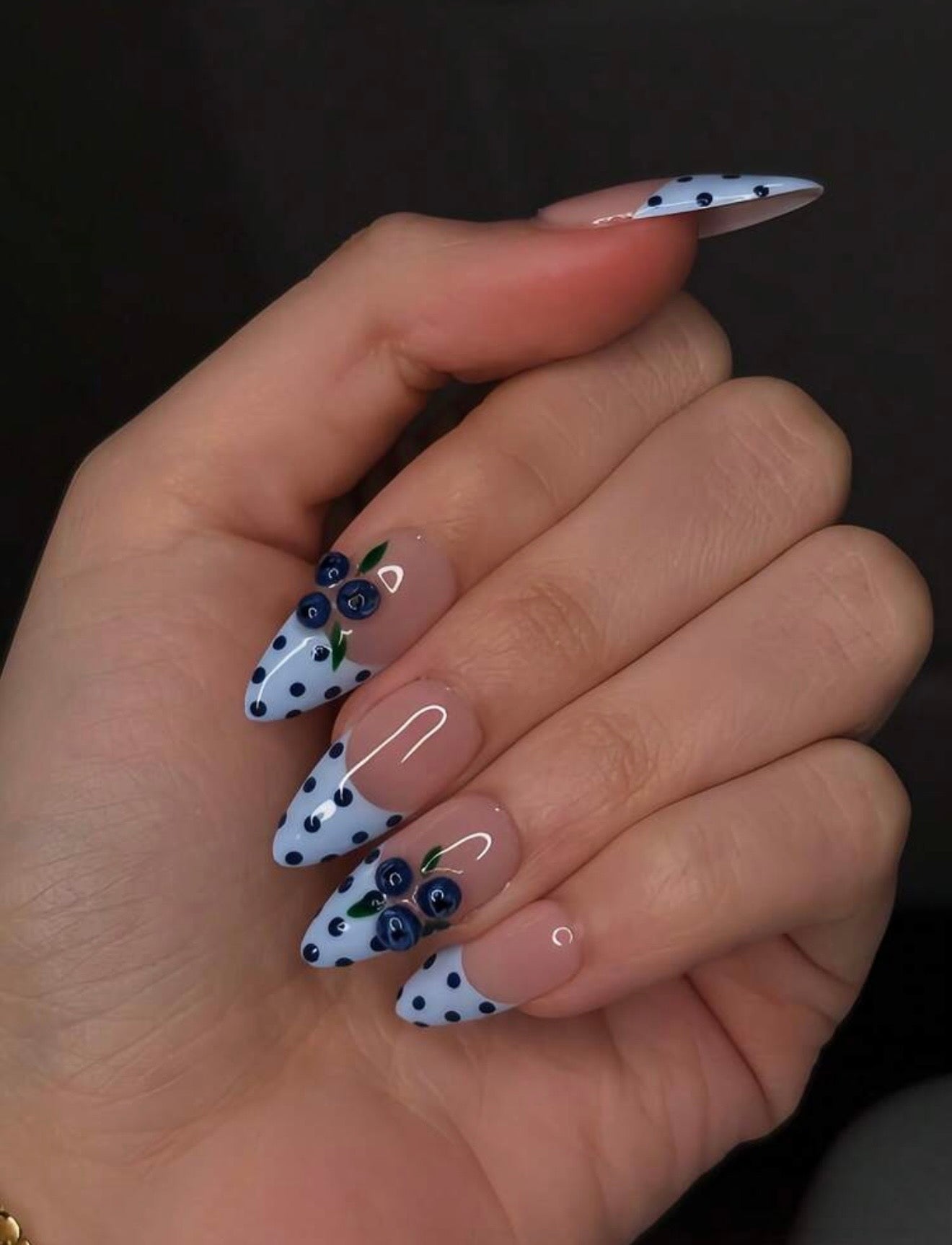 Blueberry Lau Polka