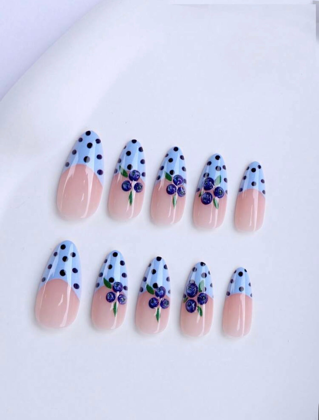 Blueberry Lau Polka